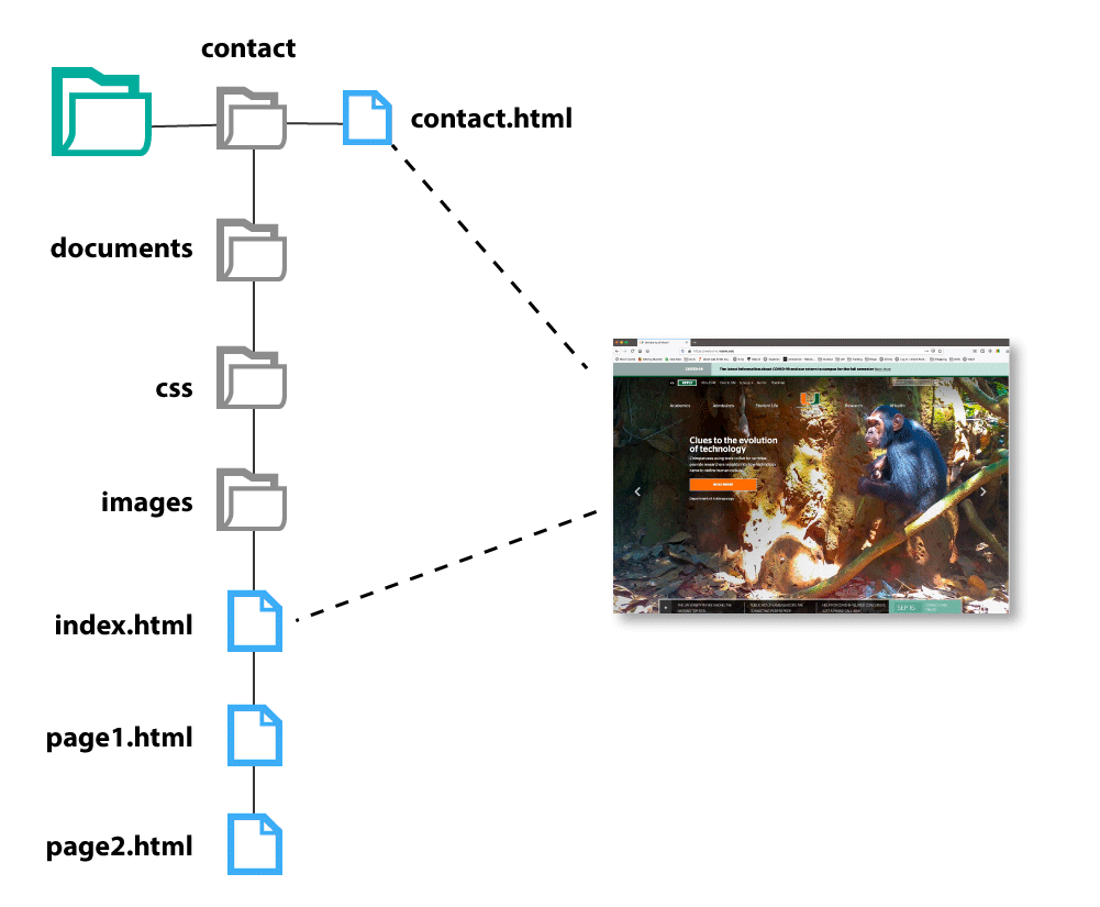 relative link structure