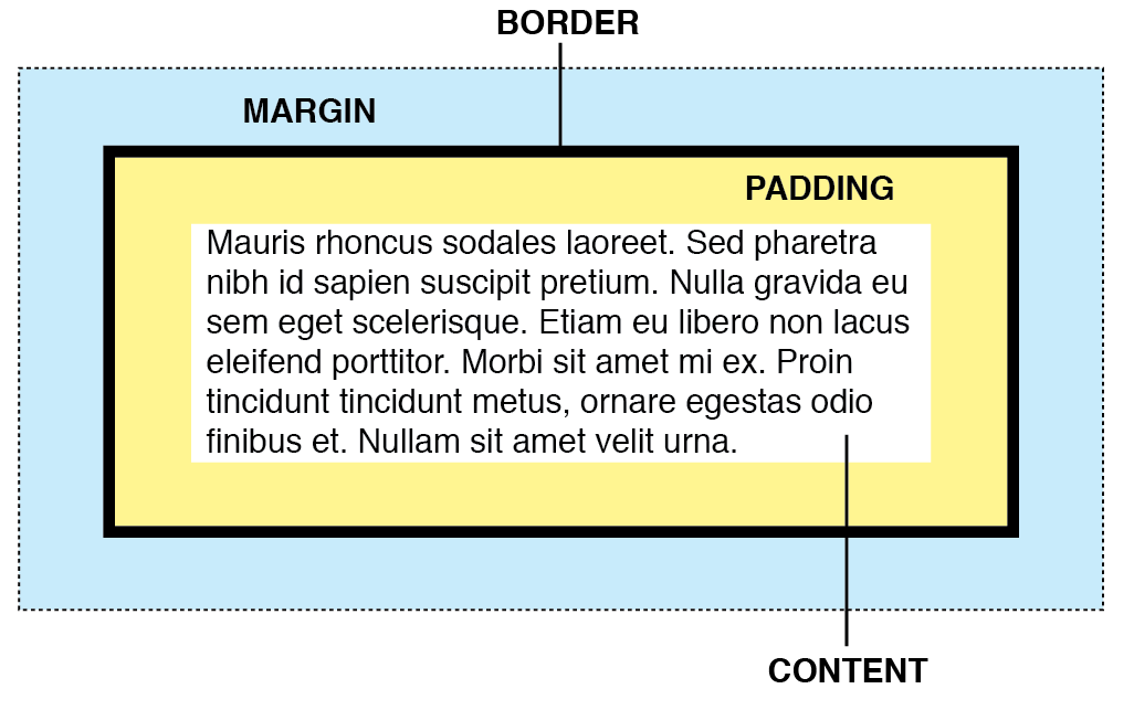 The css box model