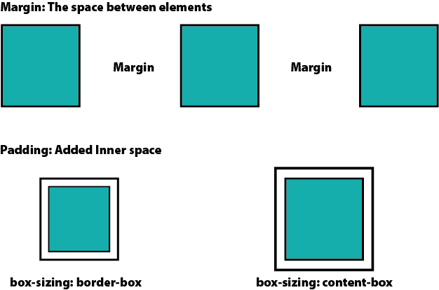 Difference between Margin and Padding